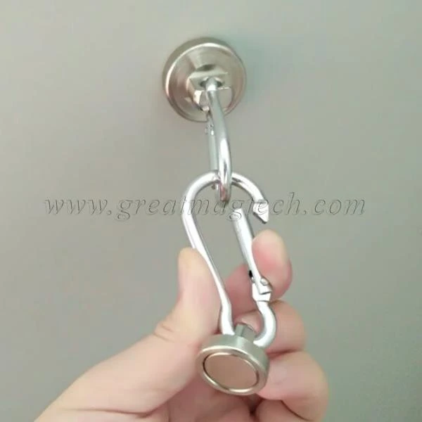 Rare Earth Magnet Hooks With Carabiner Hook 